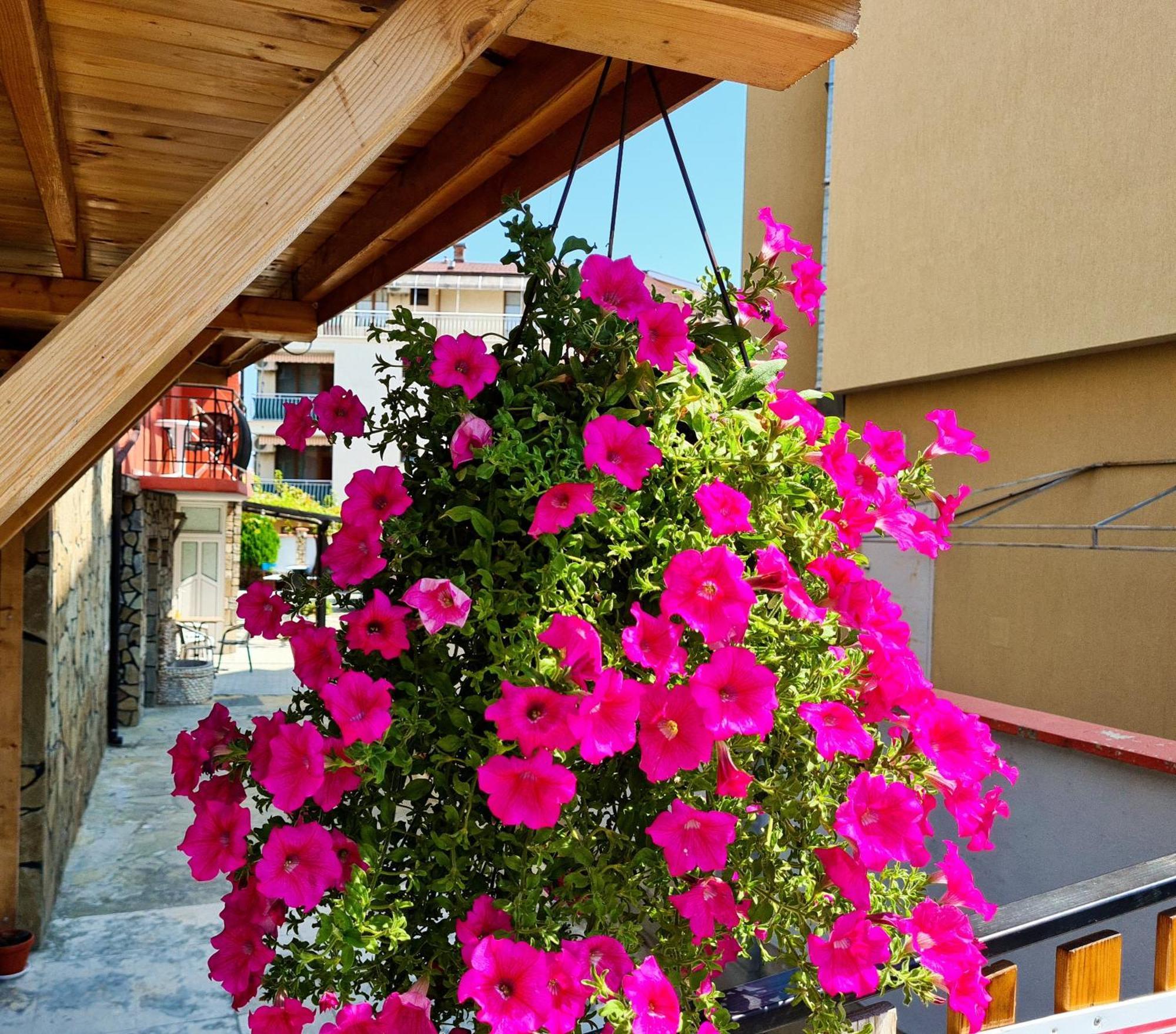 Sineva Guest House Ravda Buitenkant foto